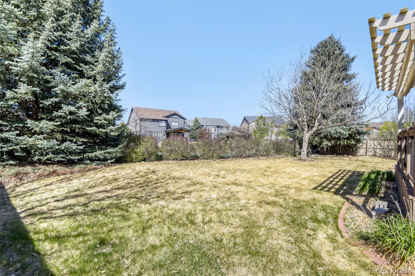 MLS Image #27 for 10369  cheetah tail ,lone tree, Colorado