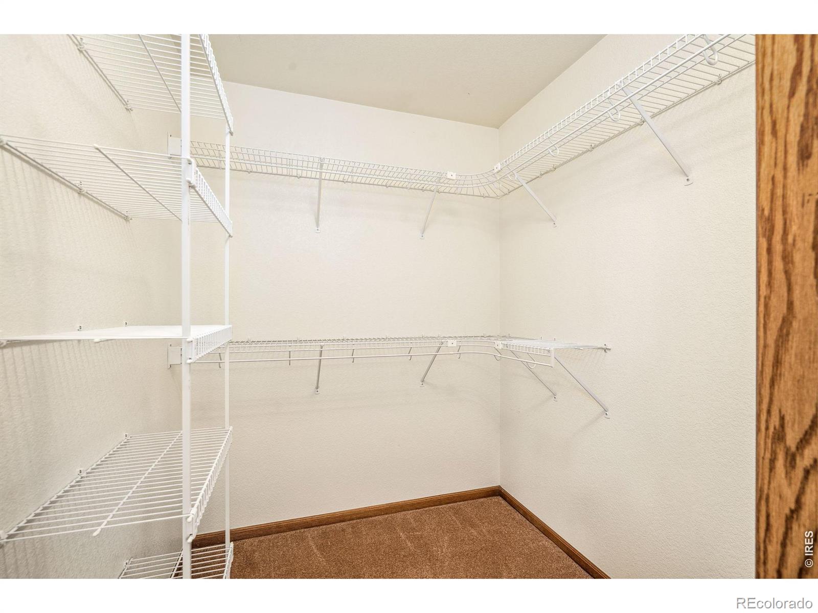 MLS Image #21 for 567  moose court,loveland, Colorado