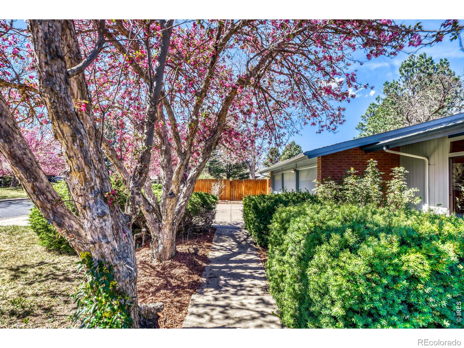 MLS Image #3 for 4195  chippewa drive,boulder, Colorado