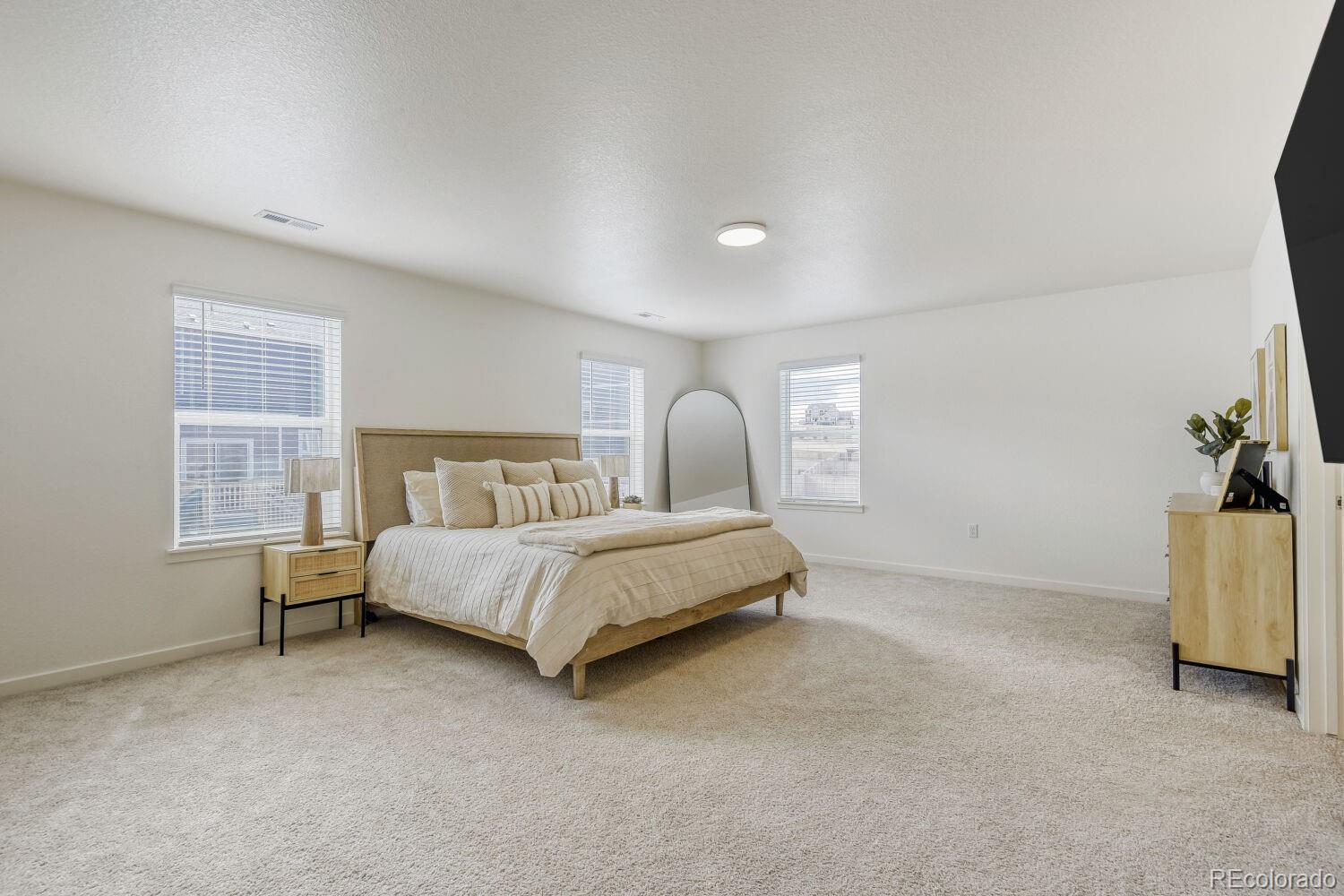 MLS Image #10 for 17970  sky pilot avenue,parker, Colorado