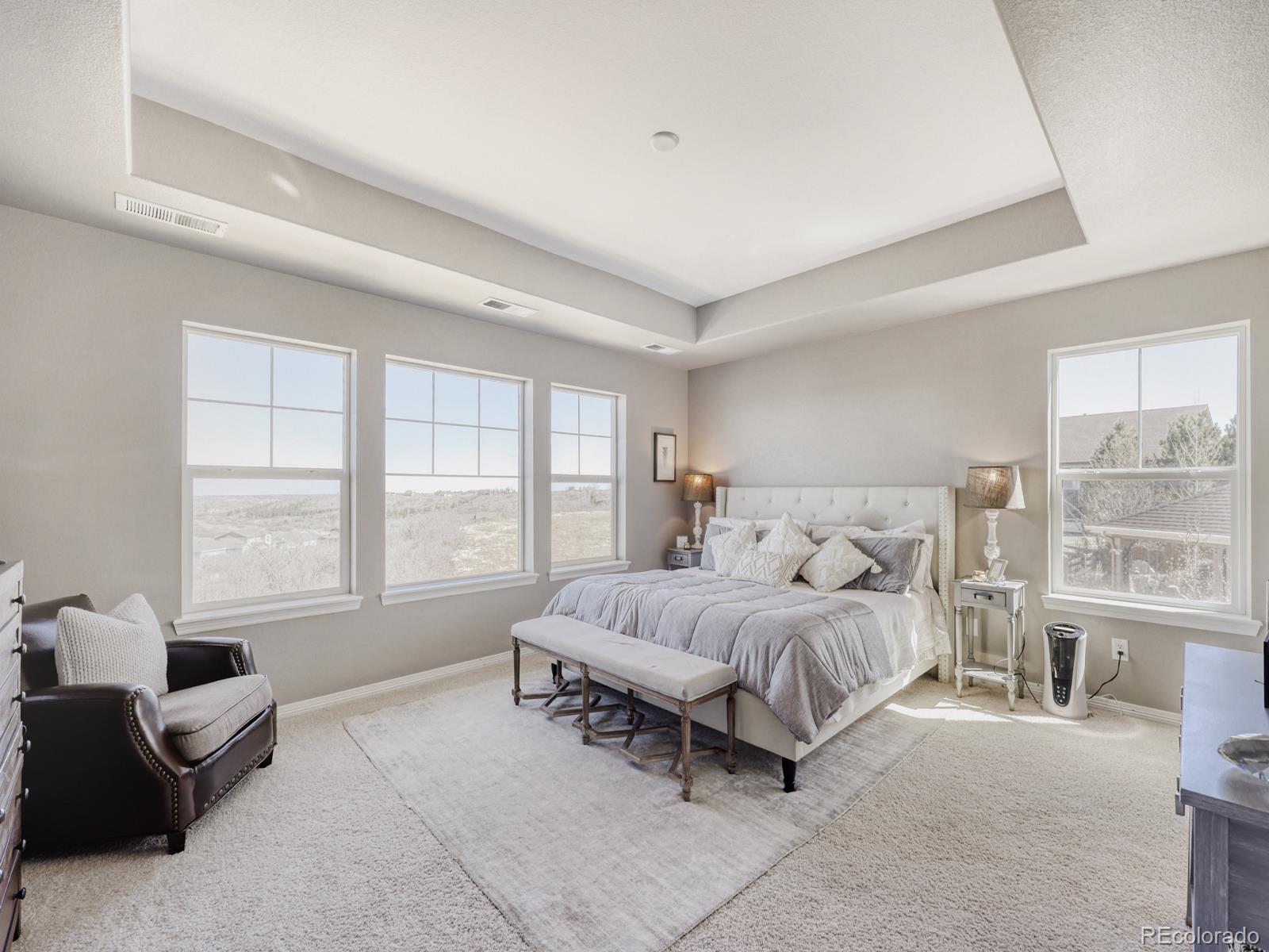 MLS Image #13 for 2964  whitewing way,castle rock, Colorado