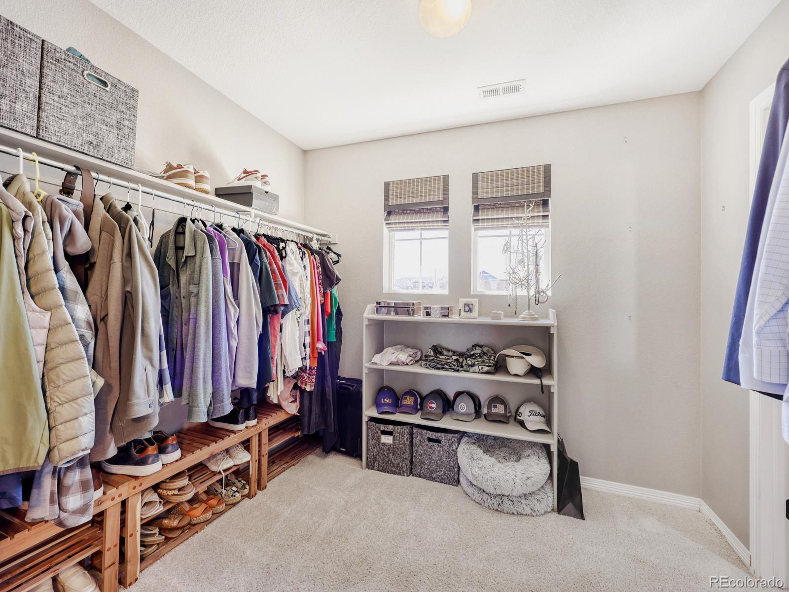 MLS Image #18 for 2964  whitewing way,castle rock, Colorado