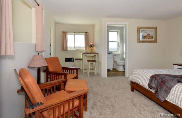 MLS Image #15 for 481  camino real ,crestone, Colorado