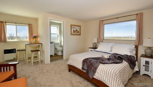 MLS Image #16 for 481  camino real ,crestone, Colorado