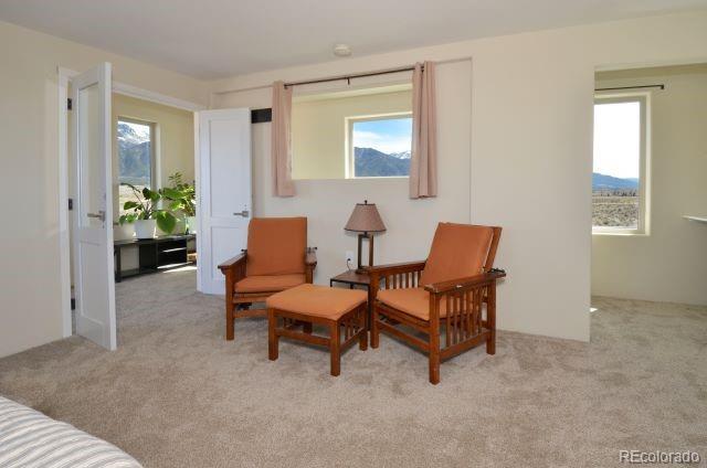 MLS Image #18 for 481  camino real ,crestone, Colorado
