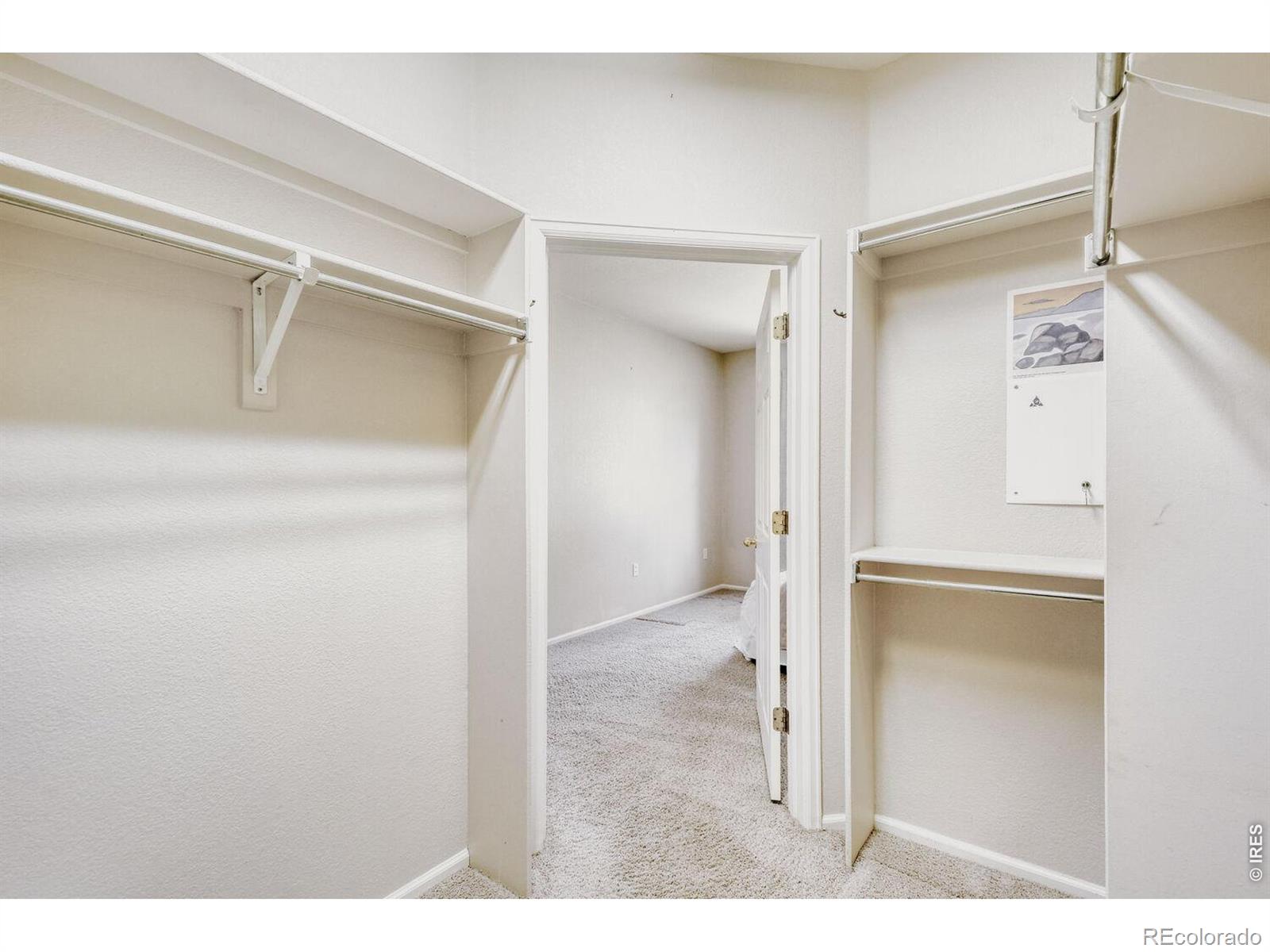 MLS Image #16 for 640  gooseberry drive,longmont, Colorado