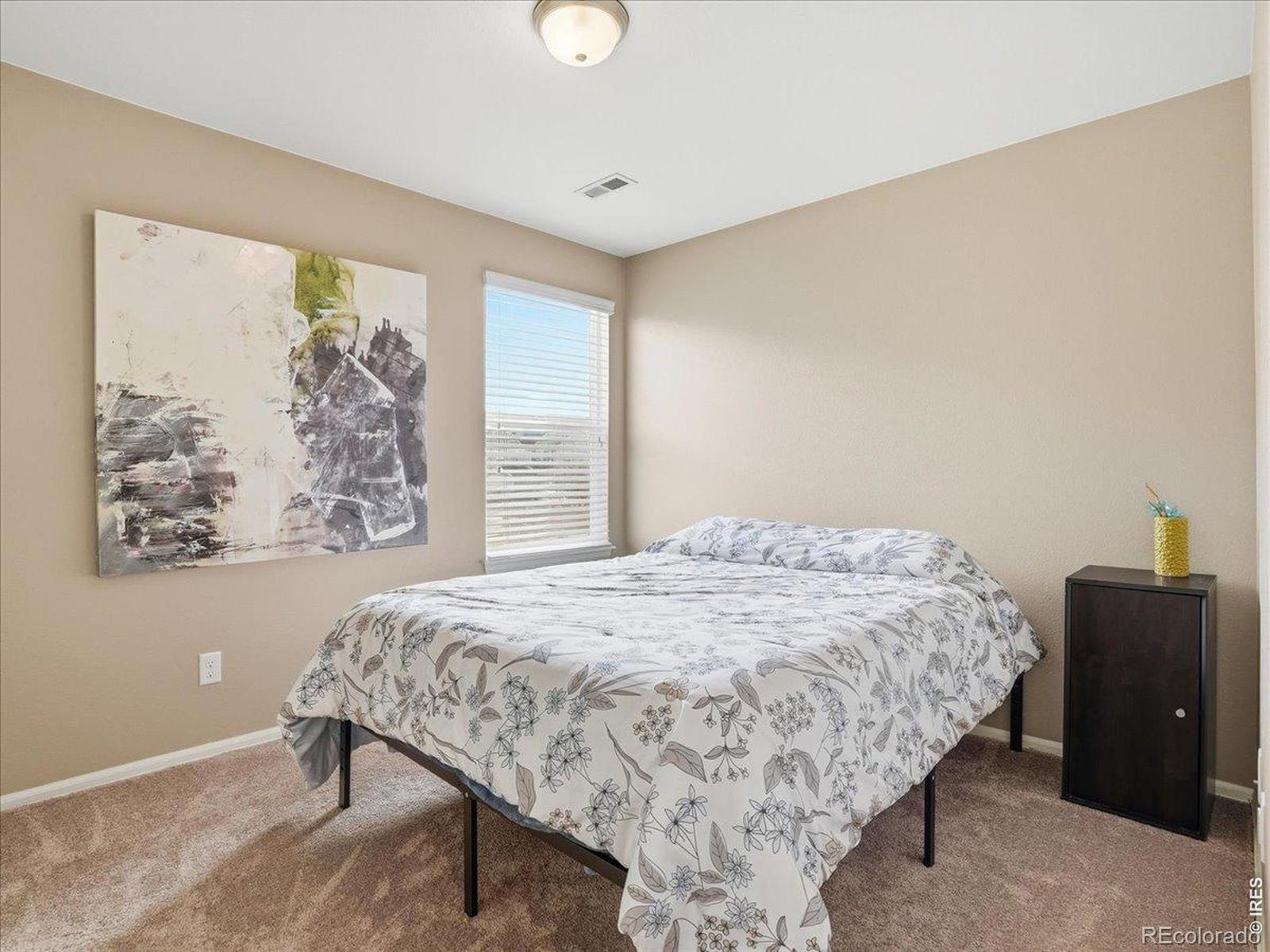 MLS Image #16 for 1565  basildon court,windsor, Colorado