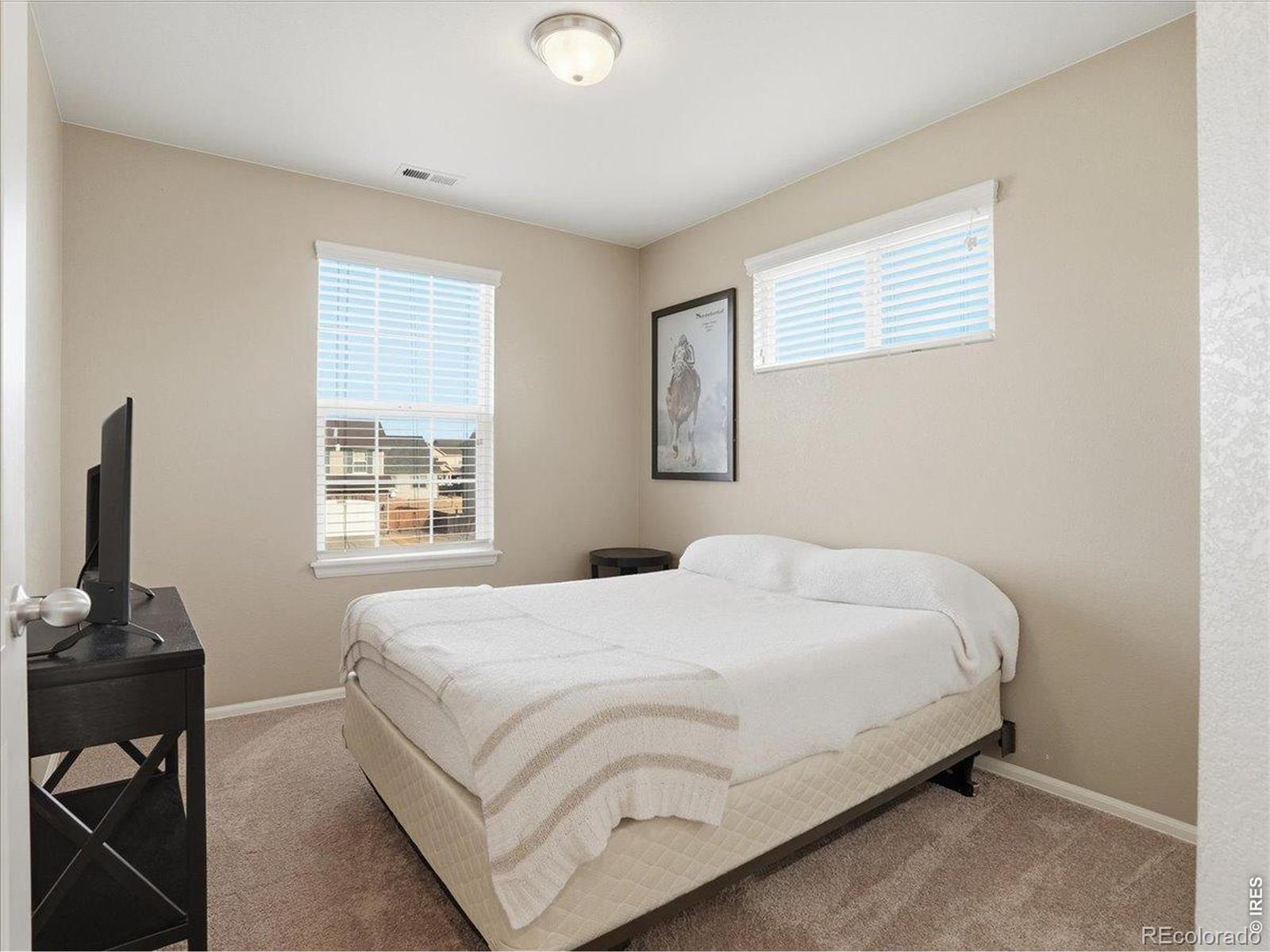 MLS Image #17 for 1565  basildon court,windsor, Colorado