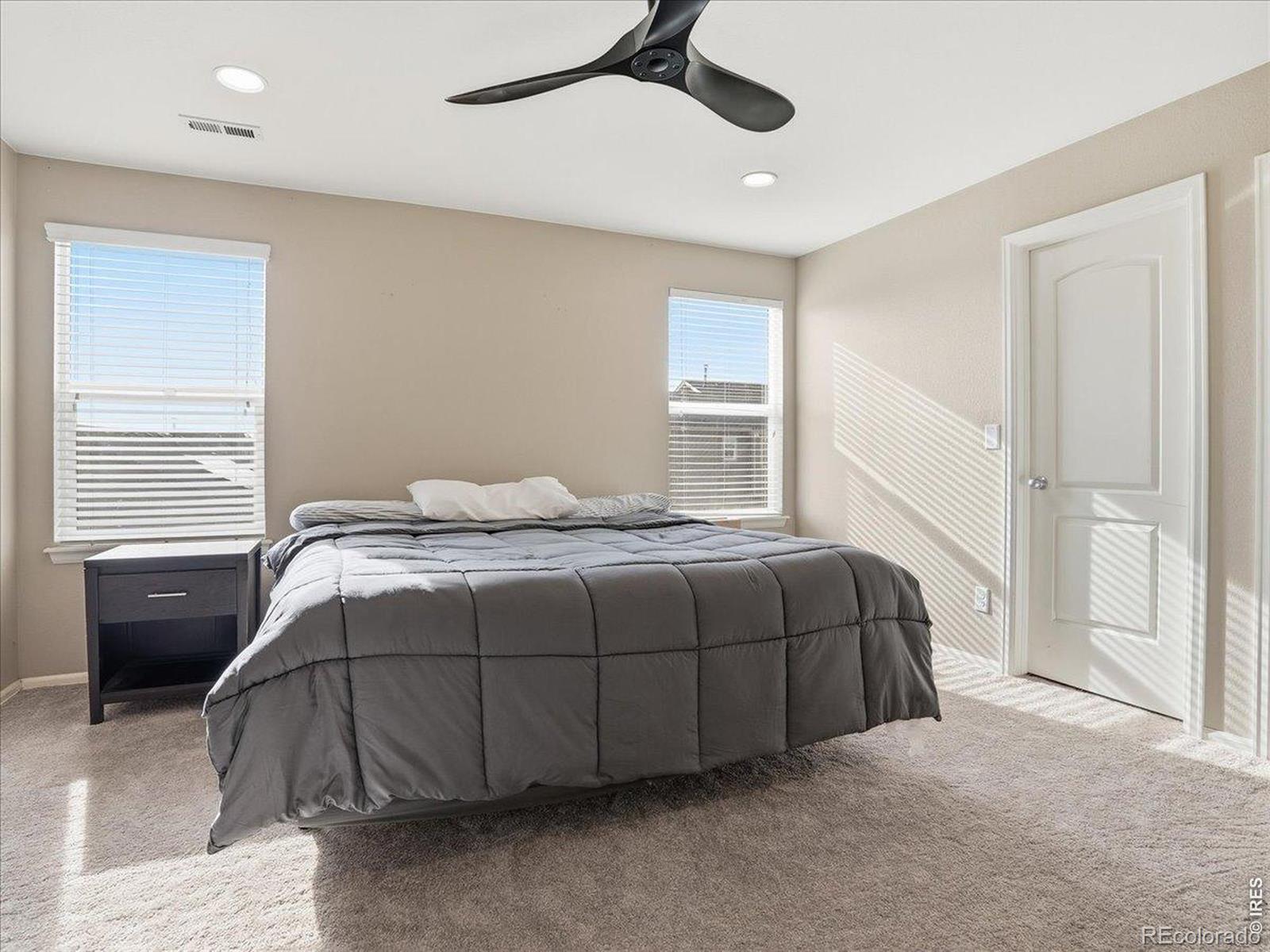 MLS Image #19 for 1565  basildon court,windsor, Colorado