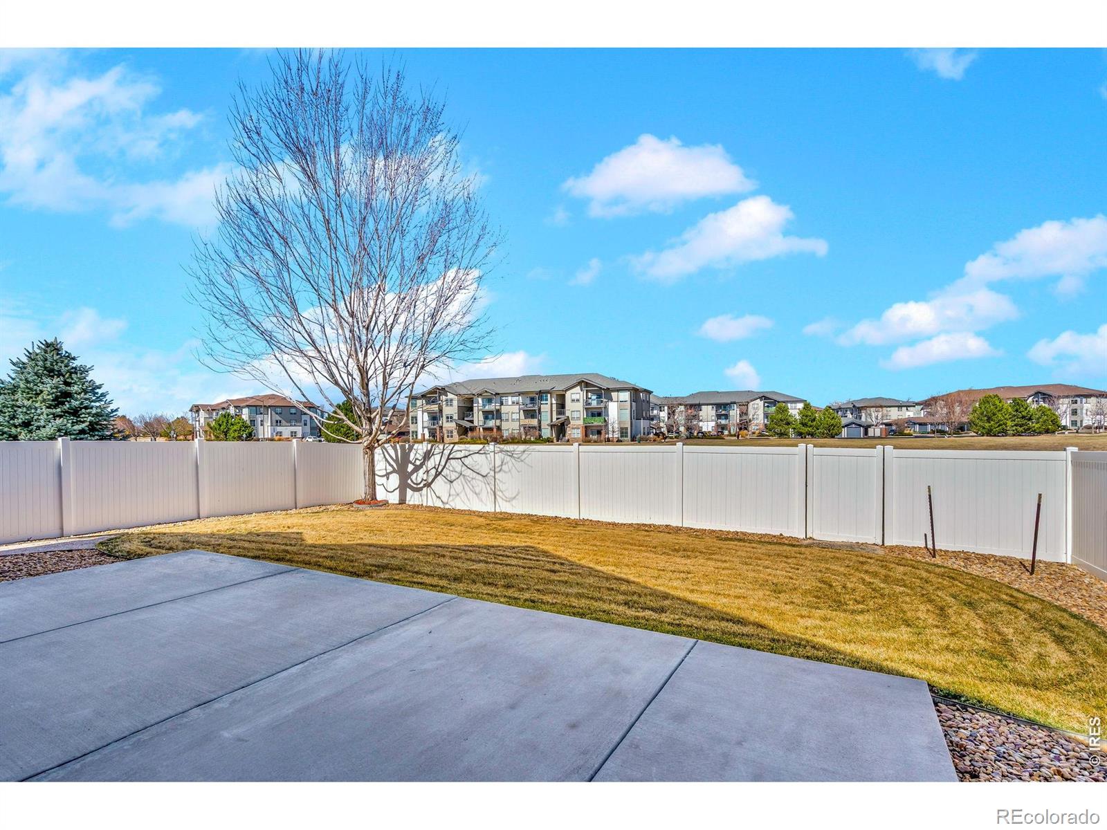 MLS Image #28 for 2965  hydra drive,loveland, Colorado