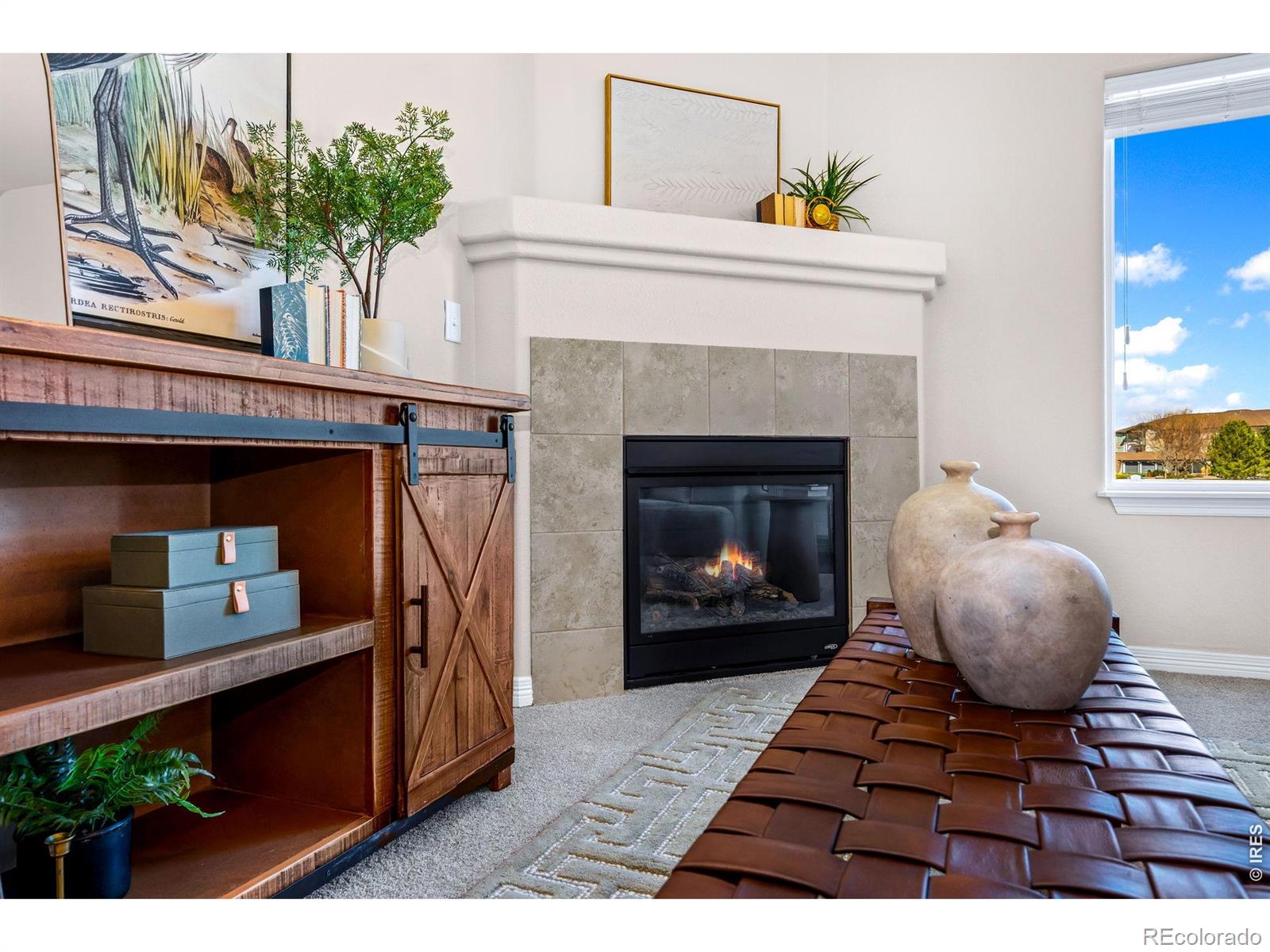 MLS Image #5 for 2965  hydra drive,loveland, Colorado
