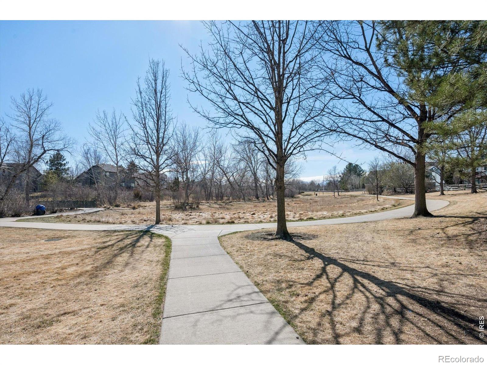 MLS Image #18 for 819  thornwood circle,longmont, Colorado