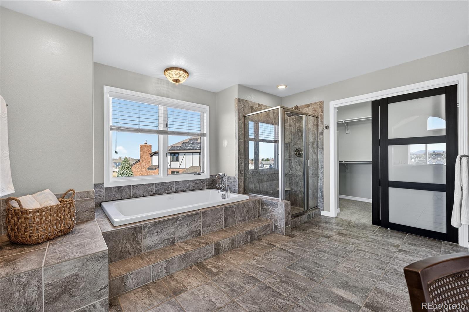MLS Image #28 for 9125  cromwell lane,highlands ranch, Colorado