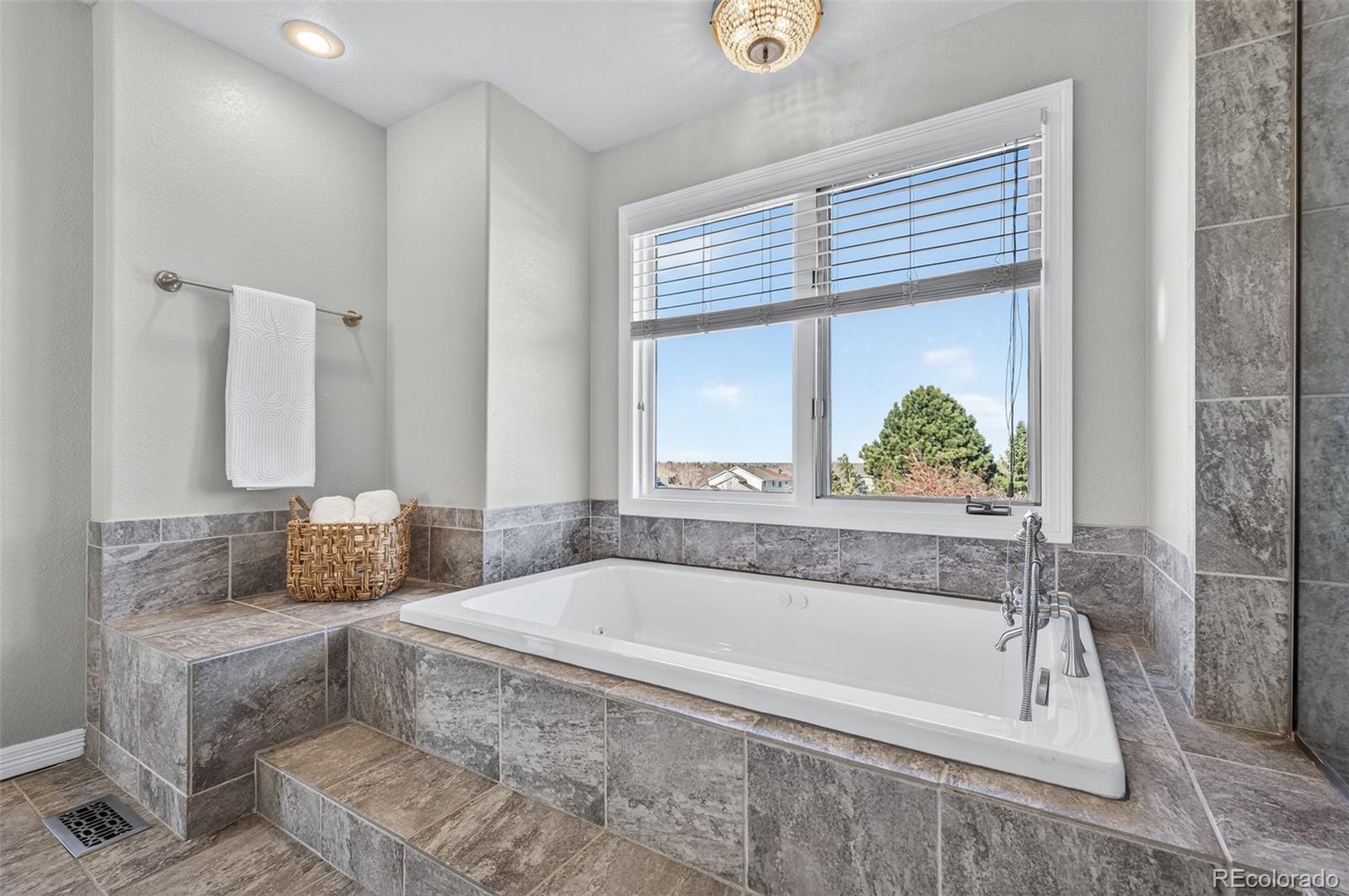MLS Image #29 for 9125  cromwell lane,highlands ranch, Colorado