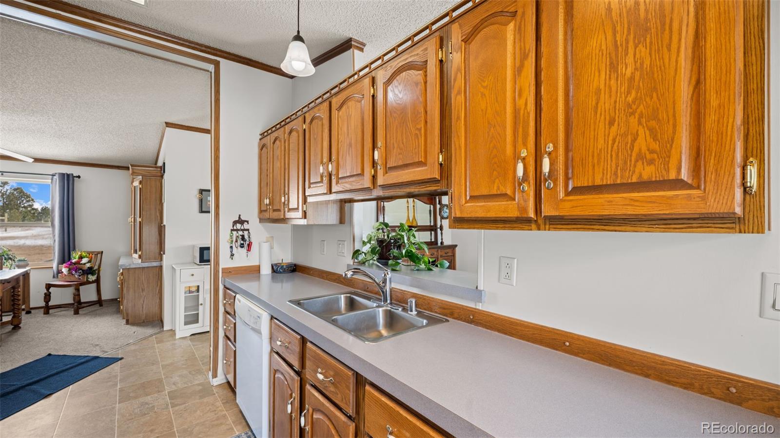 MLS Image #13 for 17660  cleese court,peyton, Colorado