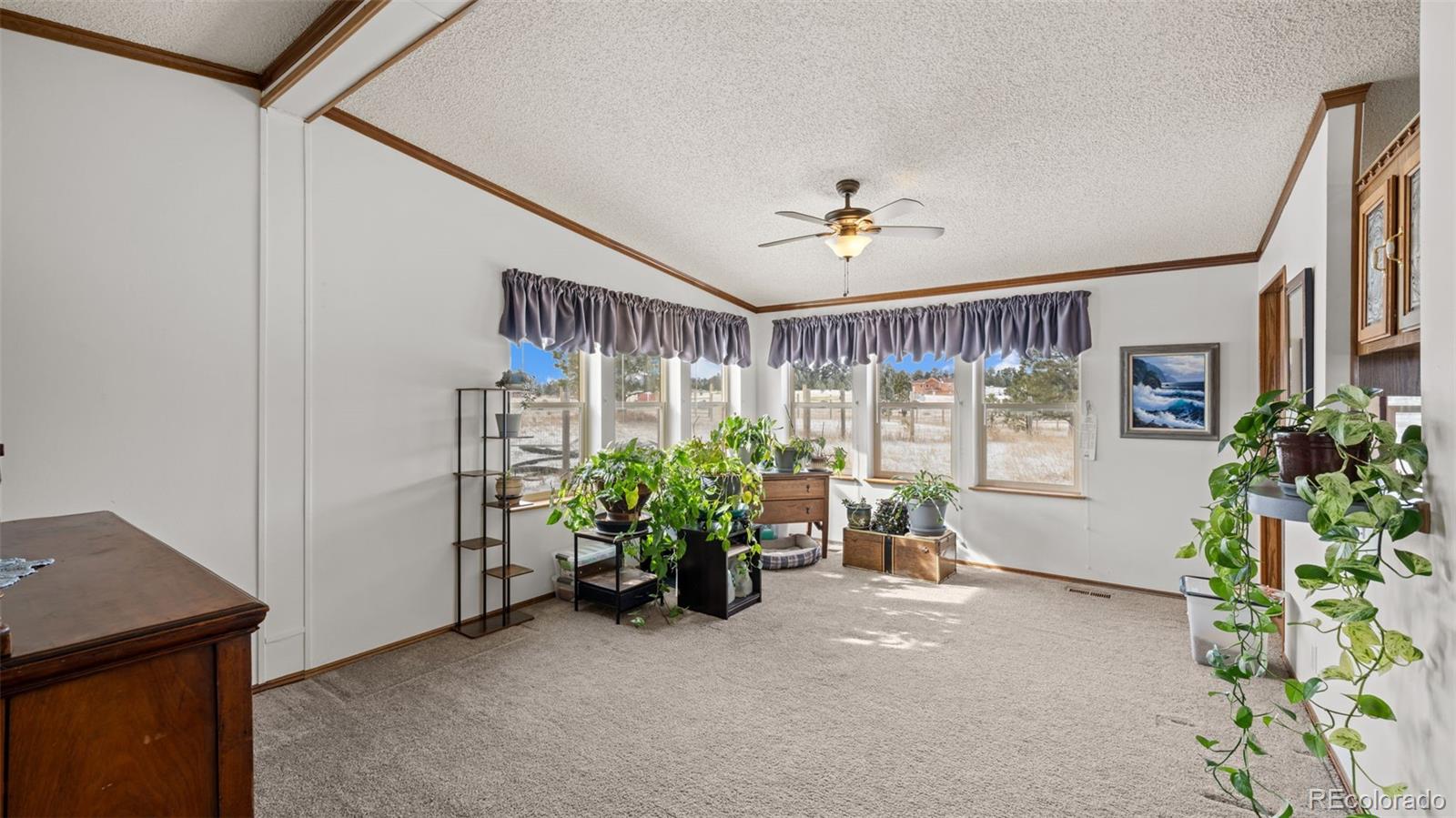 MLS Image #15 for 17660  cleese court,peyton, Colorado