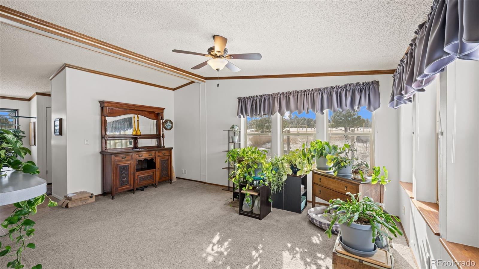 MLS Image #16 for 17660  cleese court,peyton, Colorado