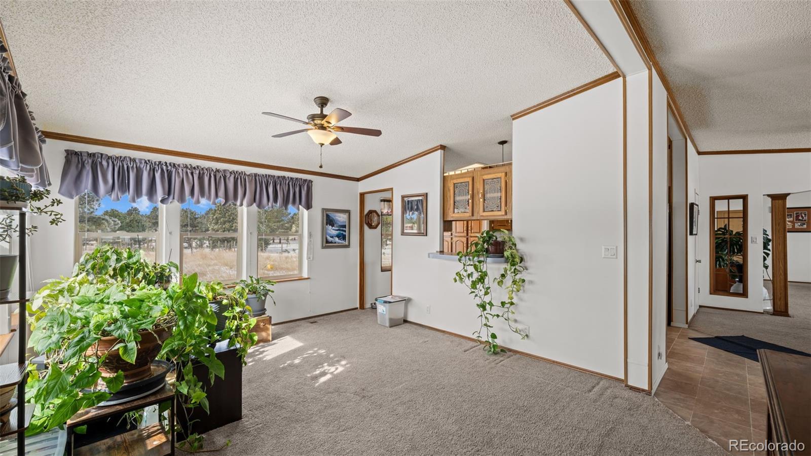 MLS Image #17 for 17660  cleese court,peyton, Colorado