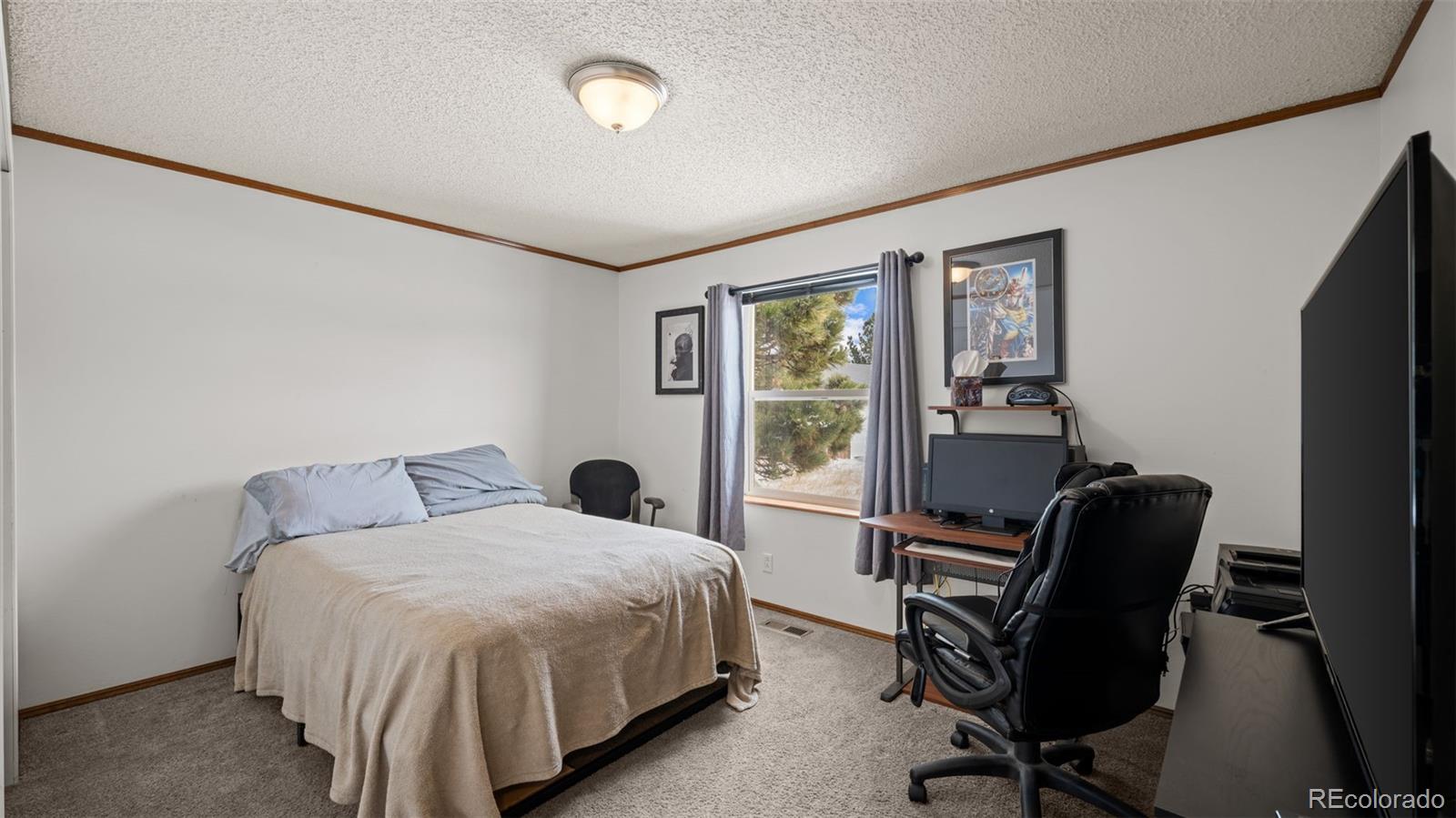 MLS Image #28 for 17660  cleese court,peyton, Colorado