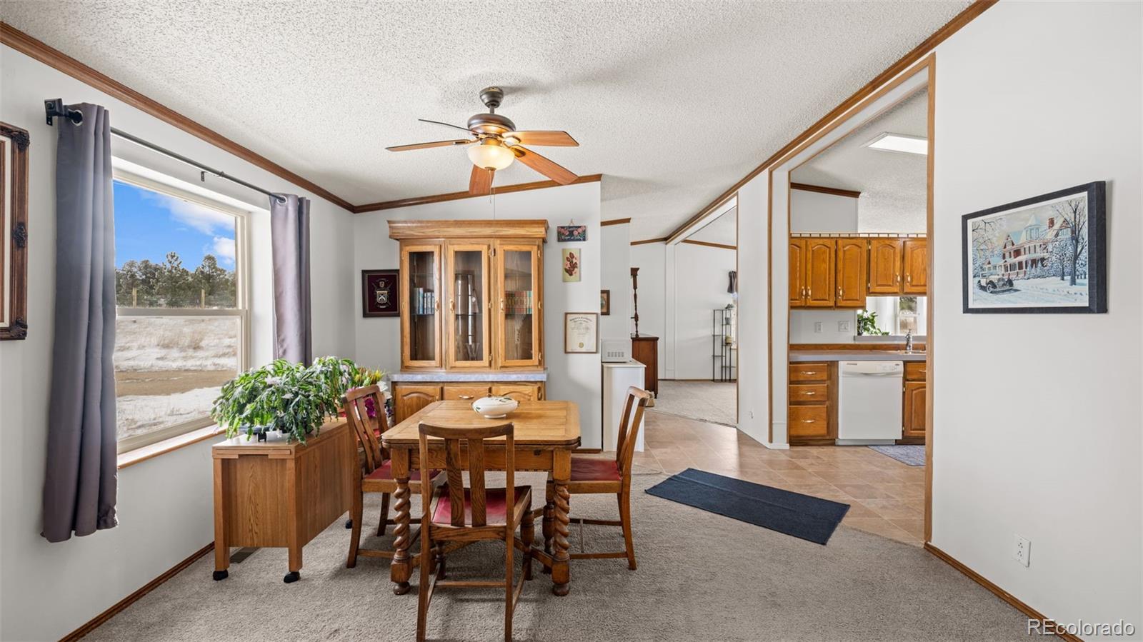 MLS Image #9 for 17660  cleese court,peyton, Colorado