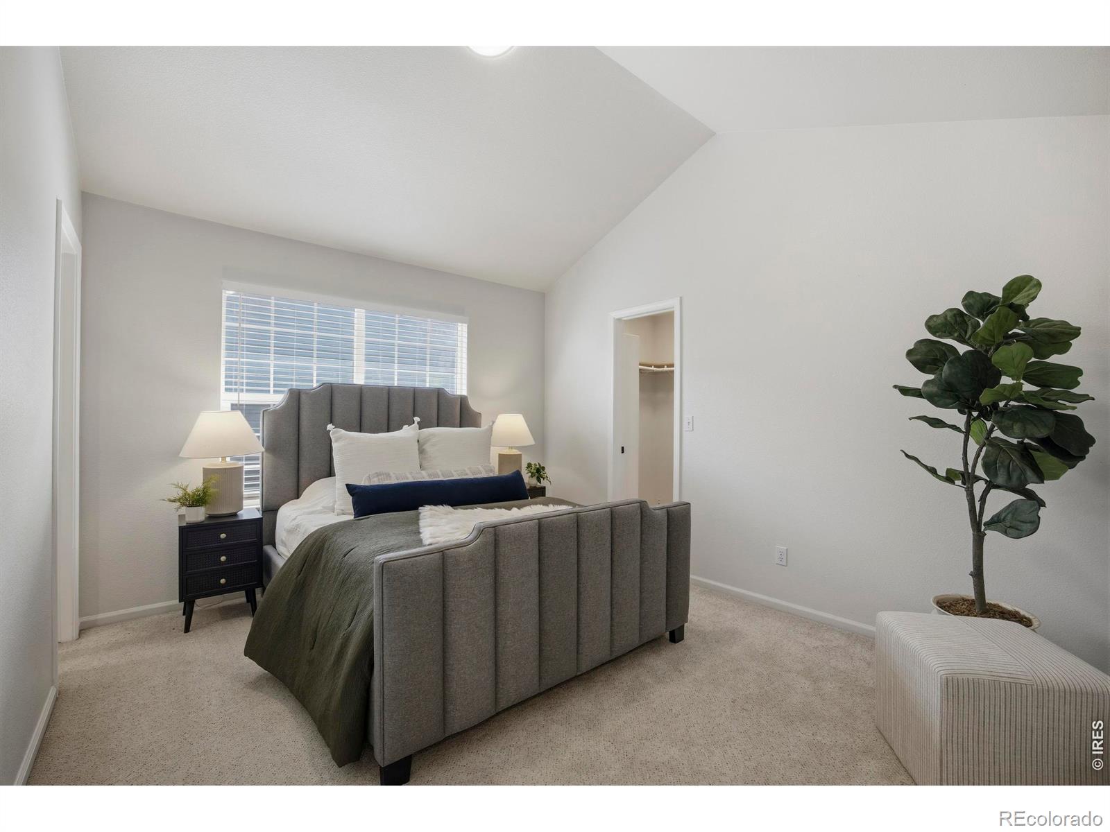 MLS Image #17 for 2908  des moines drive,fort collins, Colorado