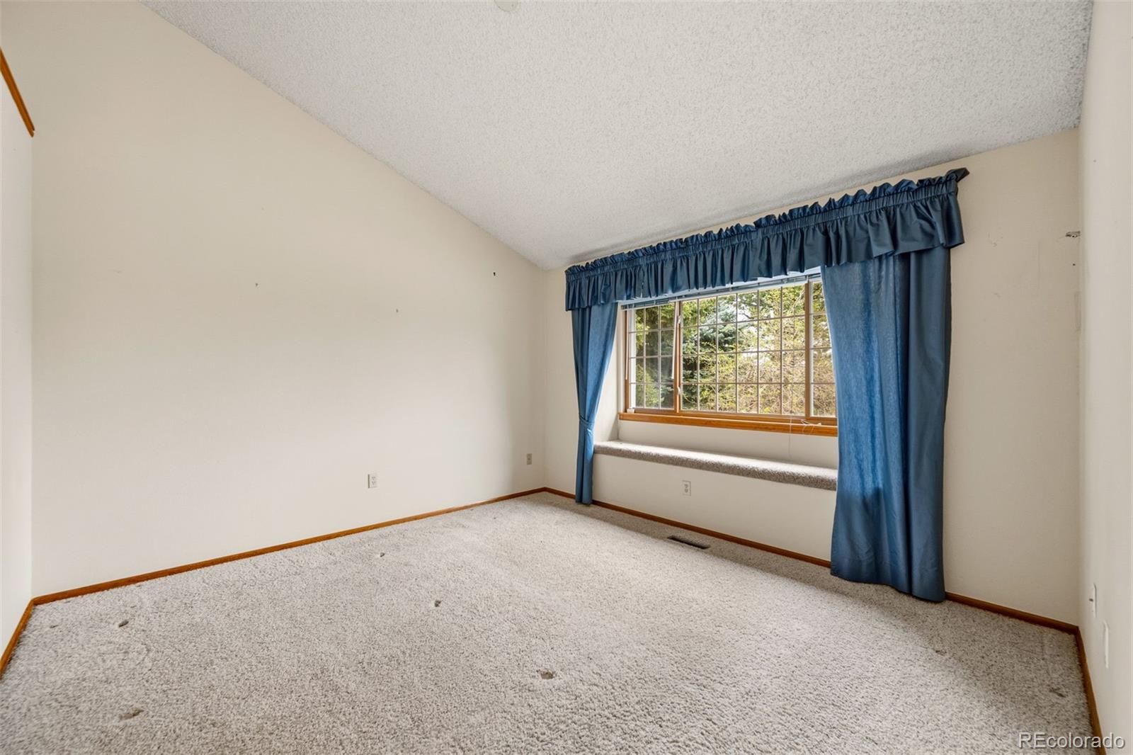 MLS Image #13 for 6  manzanita ,littleton, Colorado