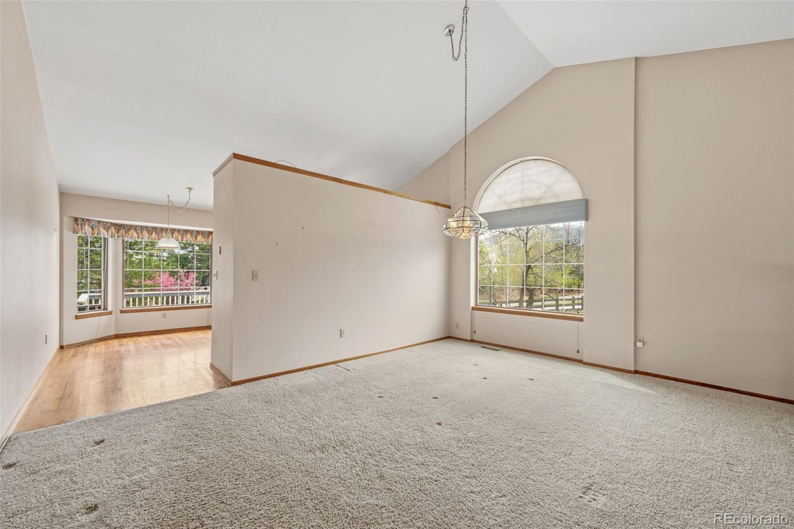 MLS Image #5 for 6  manzanita ,littleton, Colorado