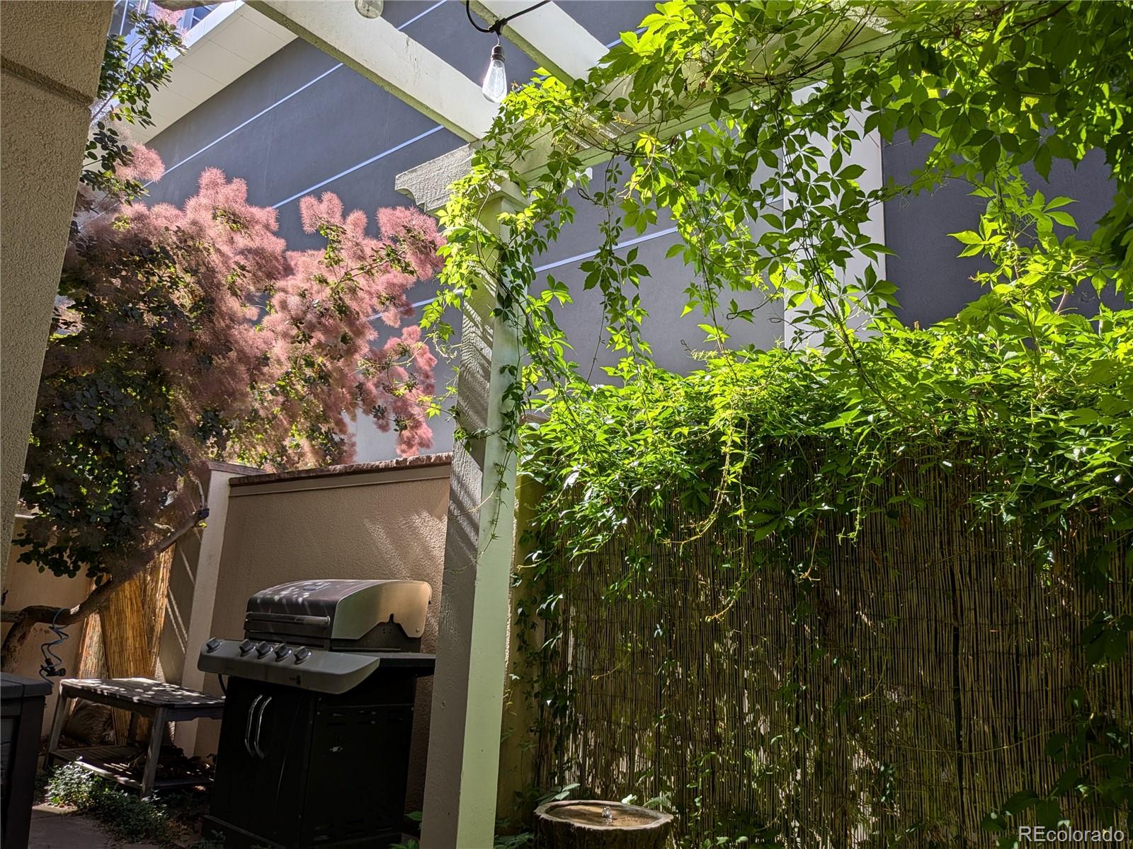 MLS Image #12 for 1200  cherokee street 105,denver, Colorado