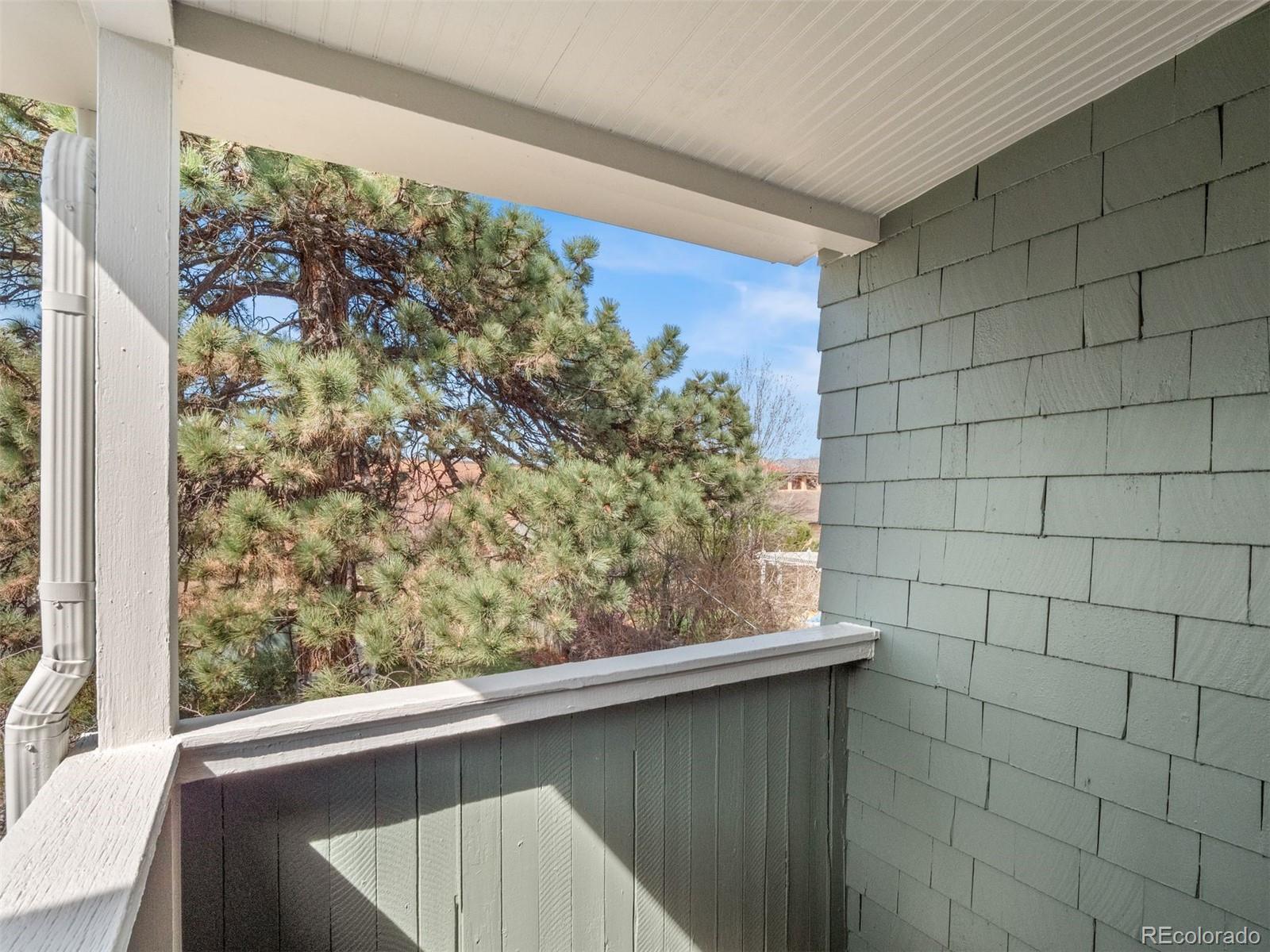 MLS Image #16 for 1512 n tejon street,colorado springs, Colorado