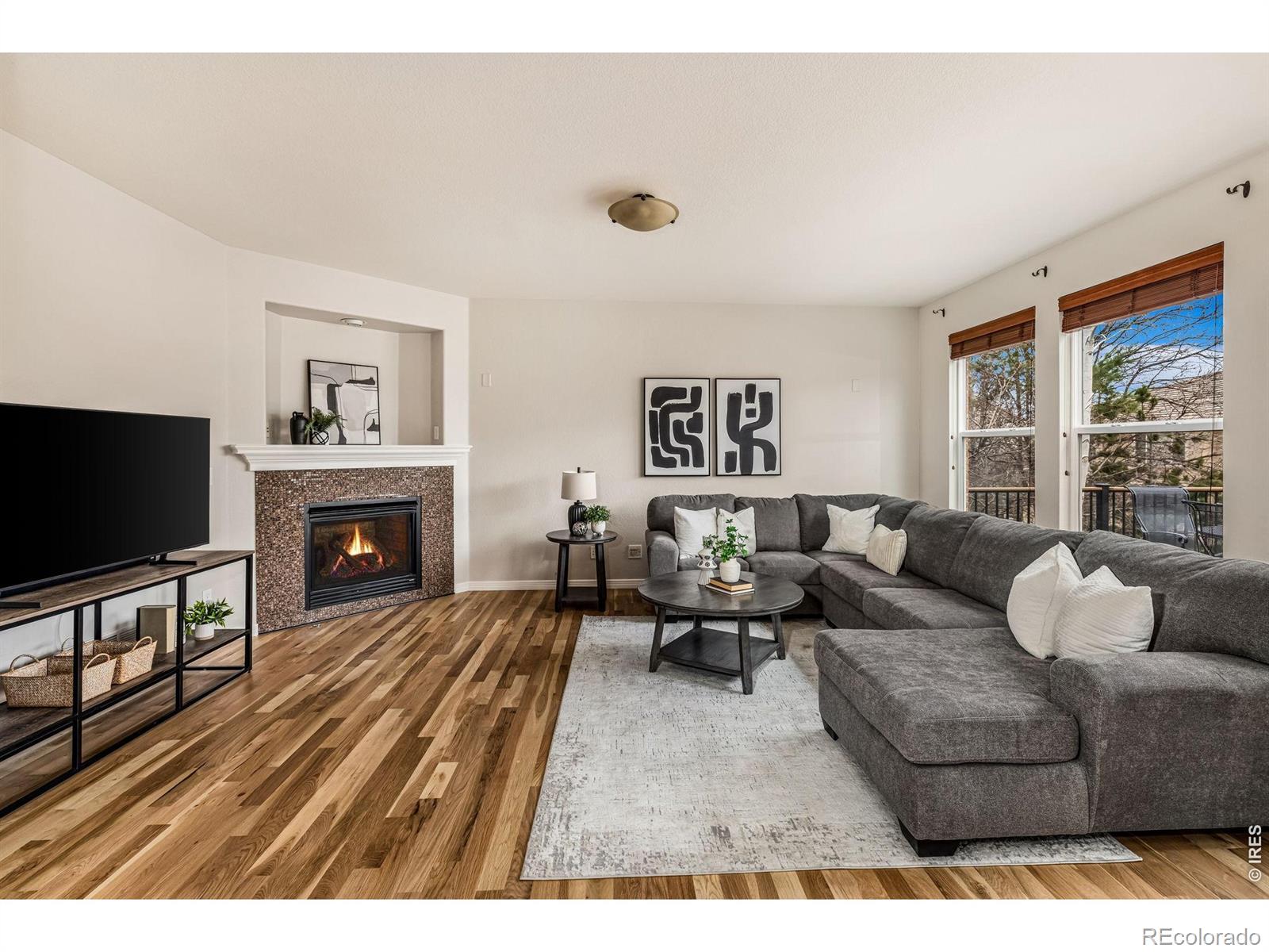MLS Image #10 for 13774  sagar drive,broomfield, Colorado