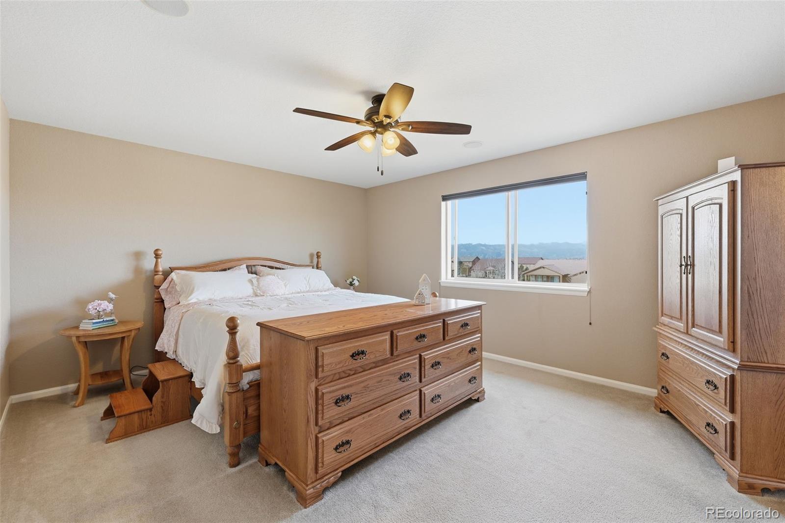 MLS Image #17 for 6612  big leaf lane,colorado springs, Colorado