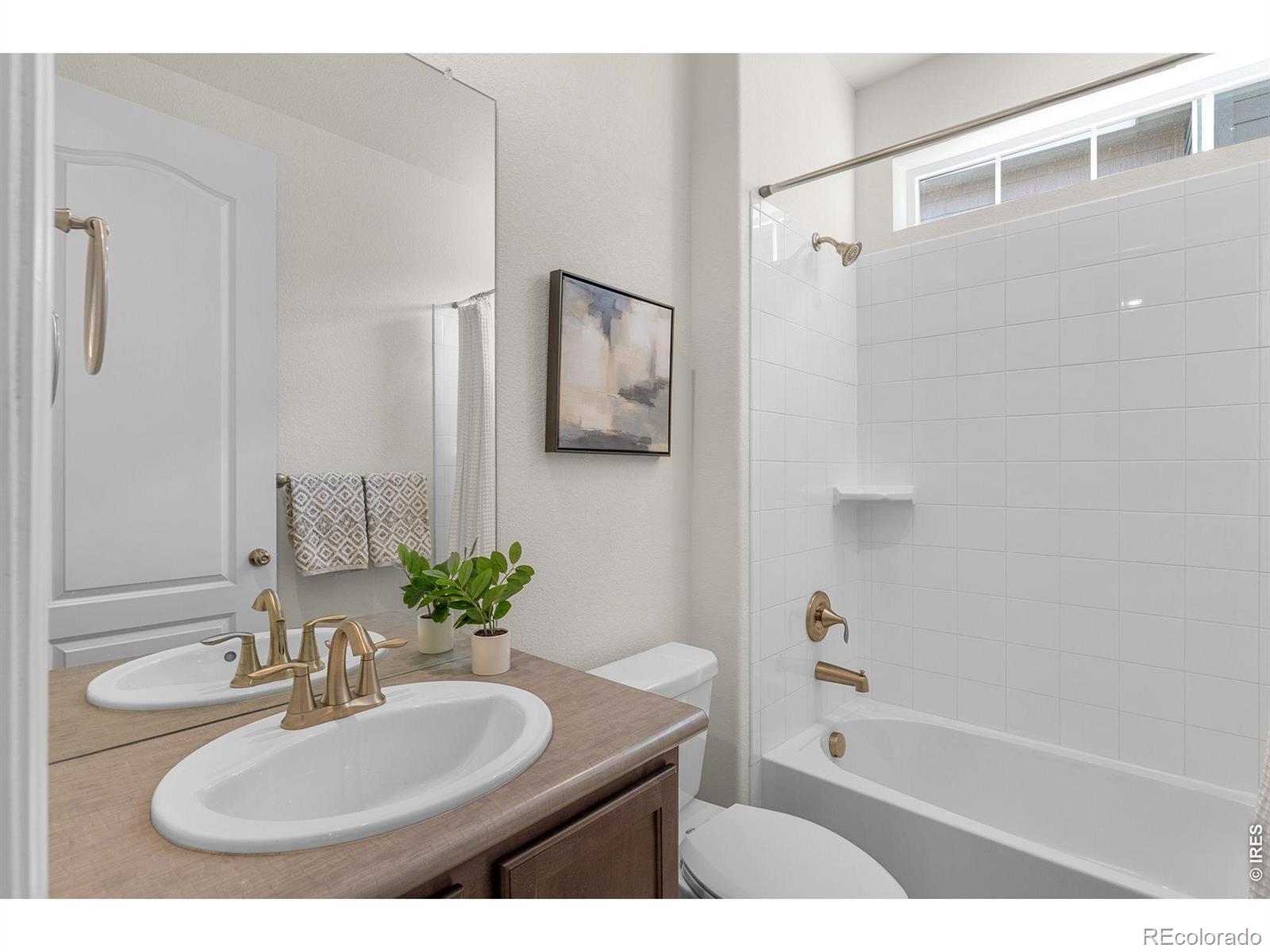 MLS Image #12 for 2335  provenance street,longmont, Colorado