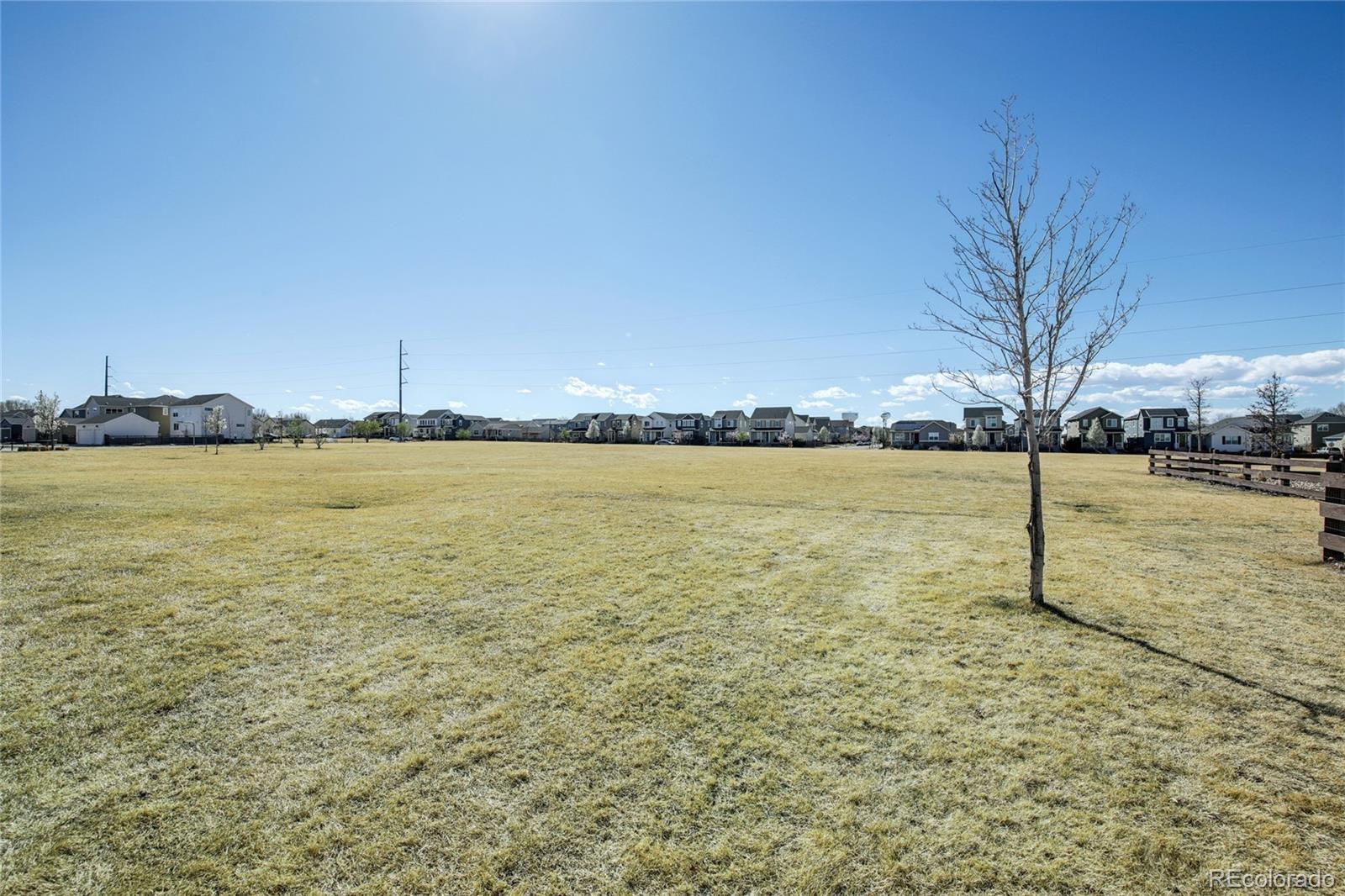 MLS Image #44 for 677  iris street,brighton, Colorado