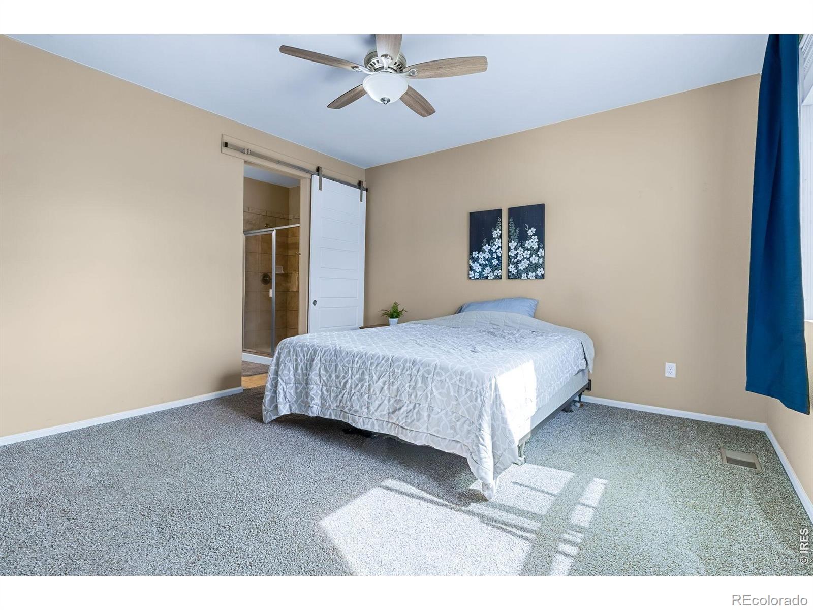 MLS Image #18 for 1601  northcroft drive,windsor, Colorado