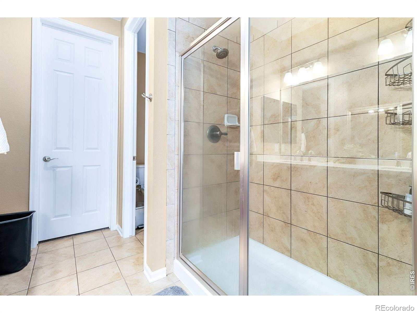 MLS Image #23 for 1601  northcroft drive,windsor, Colorado