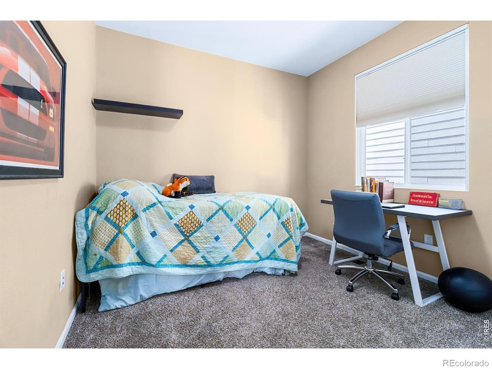 MLS Image #25 for 1601  northcroft drive,windsor, Colorado