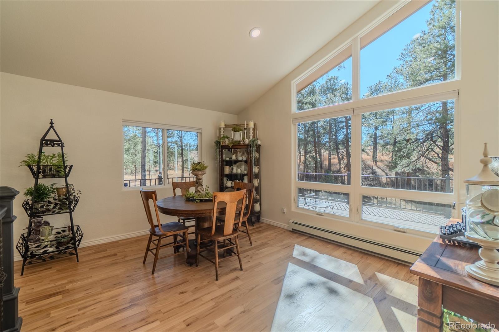 MLS Image #10 for 17890  woodhaven drive,colorado springs, Colorado