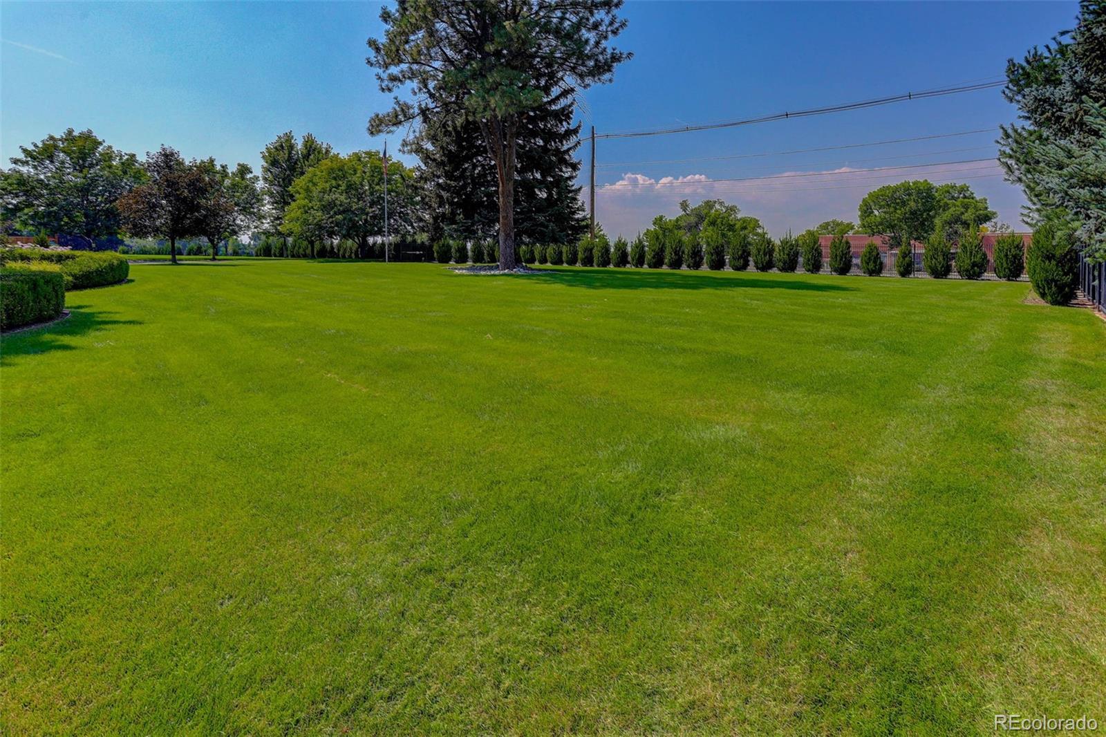 MLS Image #3 for 4600 s university boulevard,englewood, Colorado