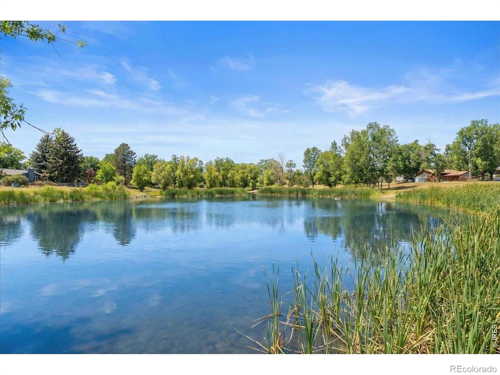 MLS Image #25 for 1625 w elizabeth street,fort collins, Colorado