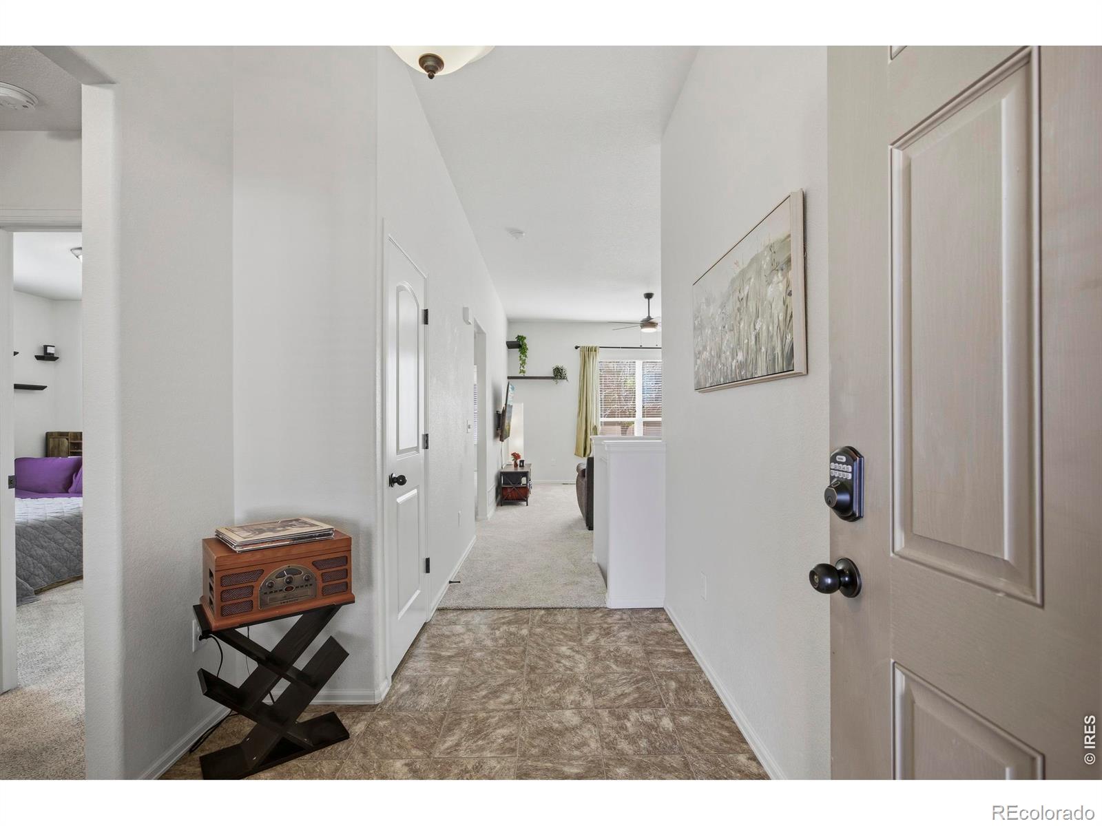 MLS Image #10 for 945  mt shavano avenue,severance, Colorado