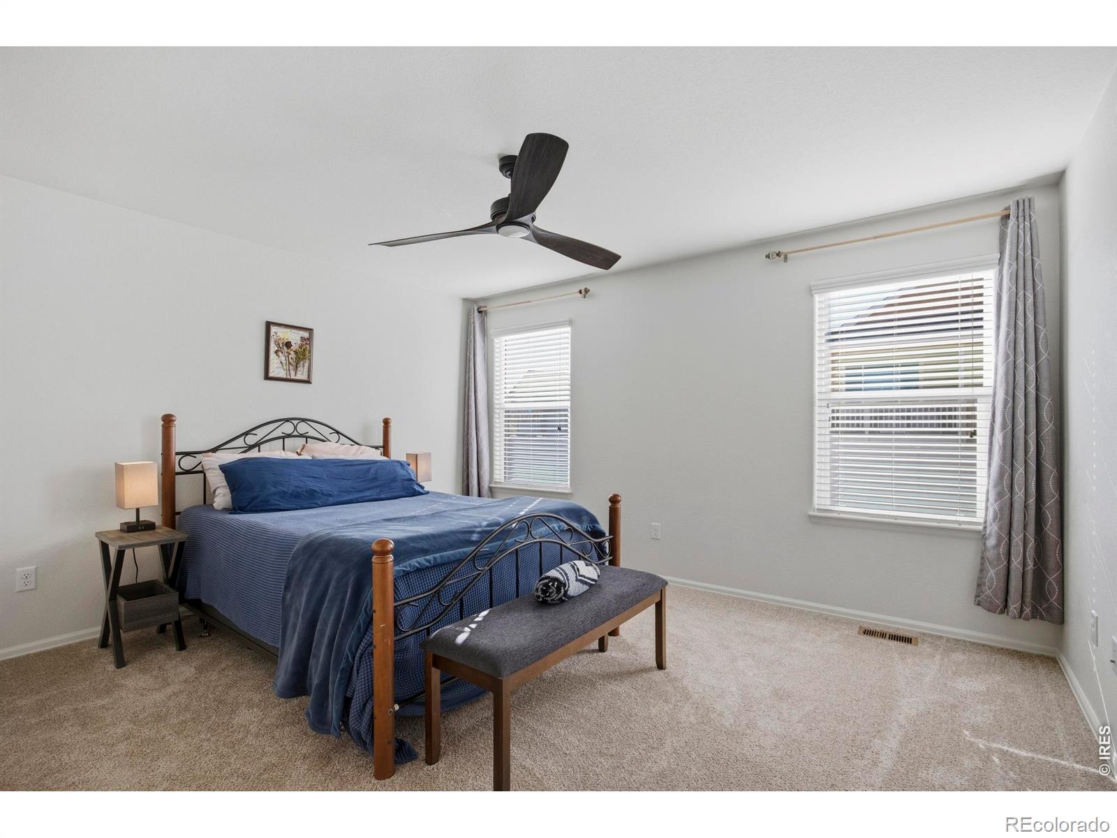 MLS Image #11 for 945  mt shavano avenue,severance, Colorado