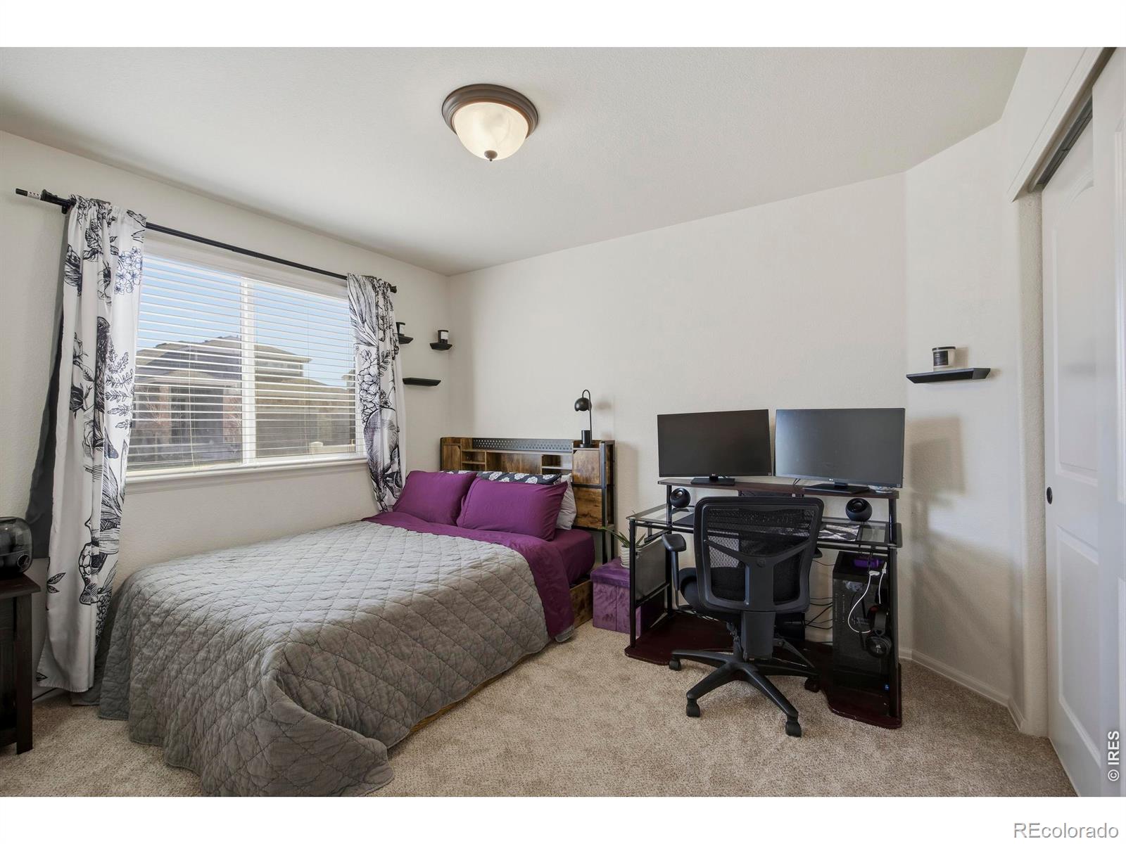 MLS Image #13 for 945  mt shavano avenue,severance, Colorado