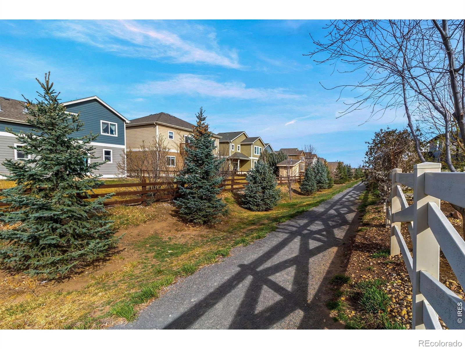 MLS Image #30 for 409  stout street,fort collins, Colorado