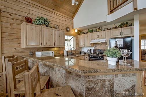 MLS Image #5 for 146  protector place,breckenridge, Colorado