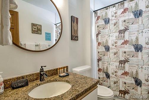 MLS Image #7 for 146  protector place,breckenridge, Colorado