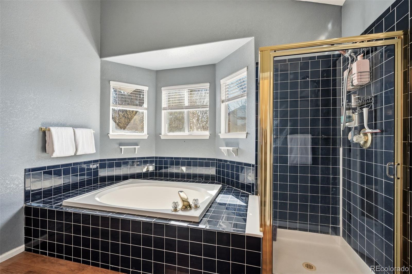 MLS Image #23 for 19910 e belleview lane,centennial, Colorado