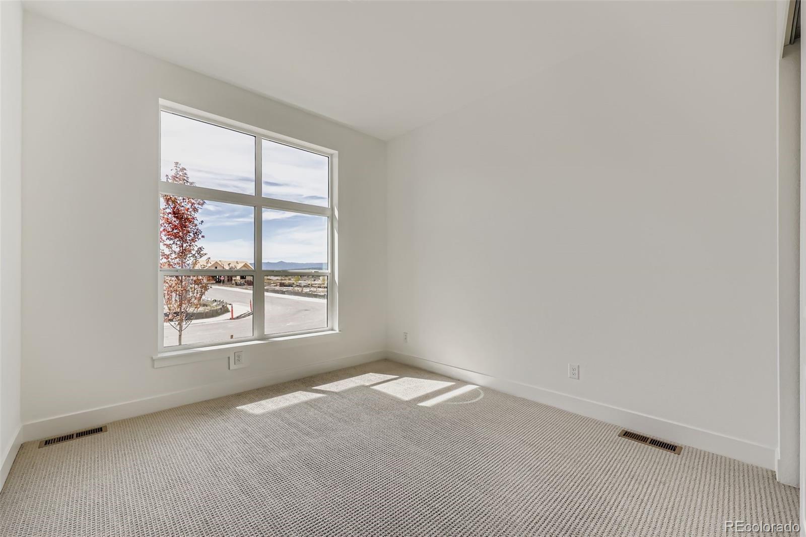 MLS Image #17 for 494  basin daisy street,castle rock, Colorado