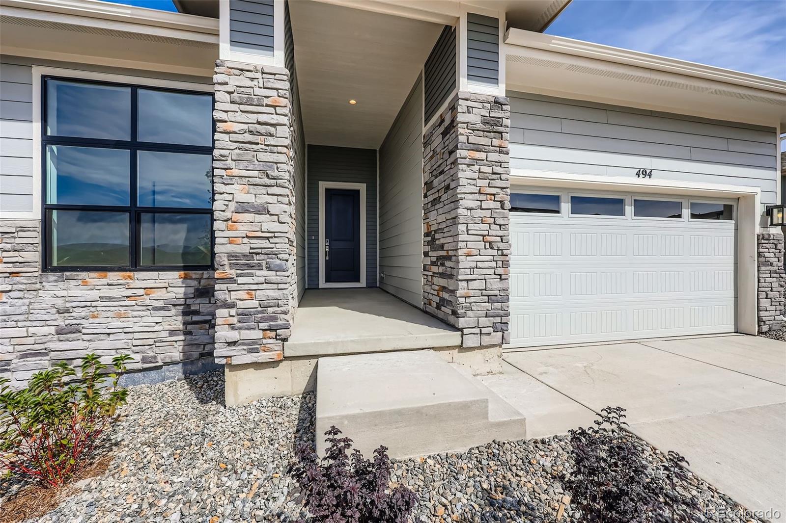 MLS Image #2 for 494  basin daisy street,castle rock, Colorado