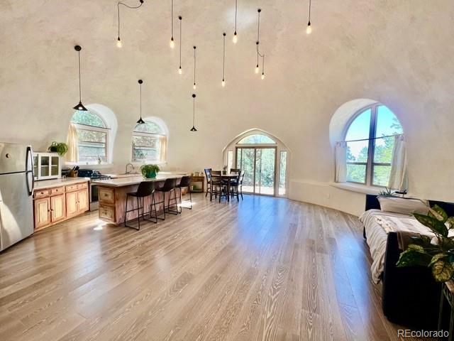 MLS Image #11 for 408 n chaparral way,crestone, Colorado