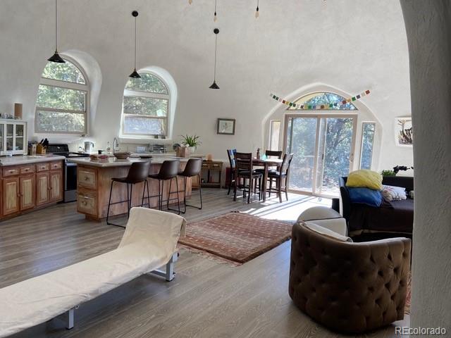 MLS Image #33 for 408 n chaparral way,crestone, Colorado